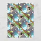 Adoptieren Sie einen Koala! Postkarte (Vorderseite)