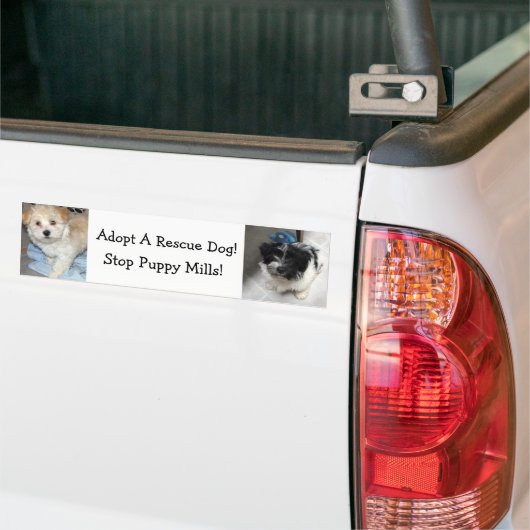 Adoptieren Sie einen Resuce Hund - Havanese Welpen Autoaufkleber (Auf Lkw)