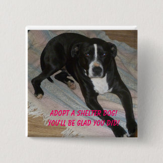 Adoptieren Sie einen Schutz-Hund heute! Button