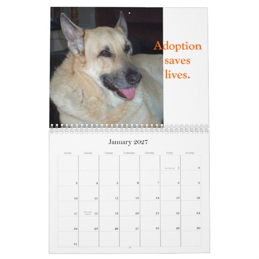 Adoptieren Sie einen Schutz-Tier-Kalender Kalender (Jan 2027)