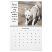 Adoptieren Sie einen Schutz-Tier-Kalender Kalender (Mär 2026)