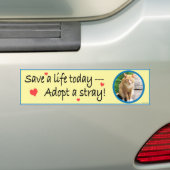 Adoptieren Sie einen StreuAutoaufkleber #2 Autoaufkleber (Auf Auto)