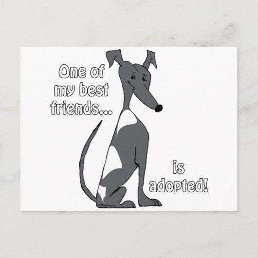 Adoptiert~BlackandWhite Postkarte (Vorderseite)