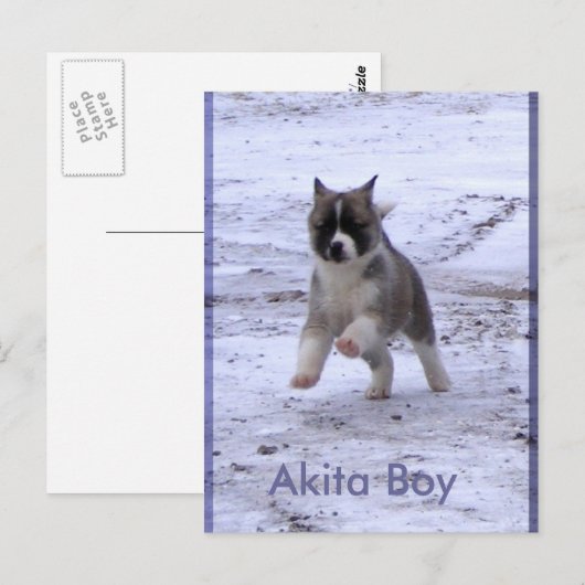 Adoptiert Hunde Postkarte (Vorne/Hinten)