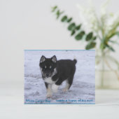 Adoptiert Hunde Postkarte (Stehend Vorderseite)