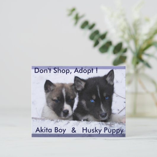 Adoptiert Hunde Postkarte (Stehend Vorderseite)