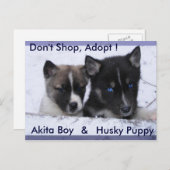 Adoptiert Hunde Postkarte (Vorne/Hinten)