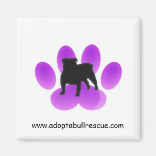 Adoptierte-ein-Stier, englische Bulldoggen-Rettung Magnet