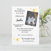 Adoption für Heimtiere Ankündigung neuer Haustiere (Stehend Vorderseite)