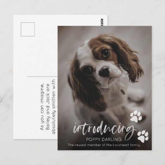 Adoption für Welpen oder Hunde, neue Ankündigung f Postkarte (Vorne/Hinten)