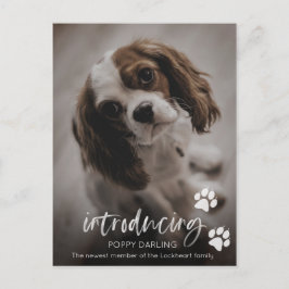 Adoption für Welpen oder Hunde, neue Ankündigung f Postkarte