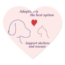 Adoption ist die beste Option