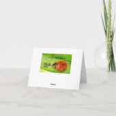 Adoption Karte (Rückseite)