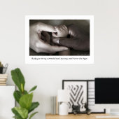 Adoption Poster (Heimbüro)