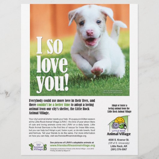 Adoption Poster - Little Rock Animal Village Flyer (Vorne)