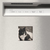 Adoption rettet Ihr Herz und Adoptiere eine Katze Magnet (In Situ (Geschirrspüler))