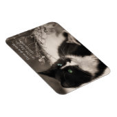 Adoption rettet Ihr Herz und Adoptiere eine Katze Magnet (Rechte Seite)