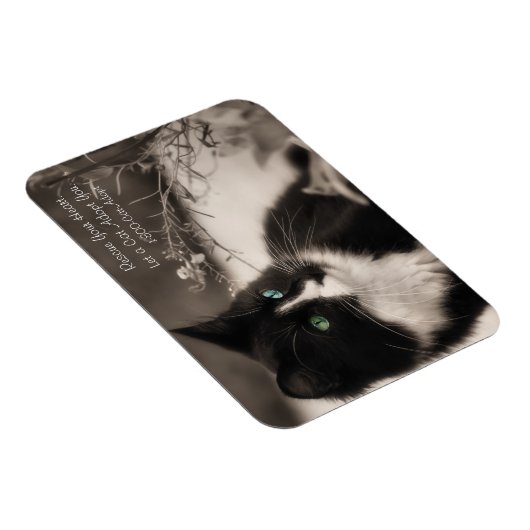 Adoption rettet Ihr Herz und Adoptiere eine Katze Magnet (Rechte Seite)