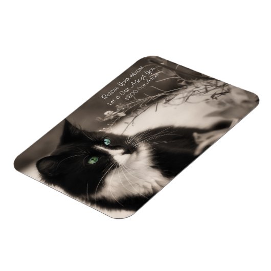 Adoption rettet Ihr Herz und Adoptiere eine Katze Magnet (Linke Seite)