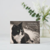 Adoption rettet Ihr Herz und Adoptiere eine Katze Postkarte (Stehend Vorderseite)