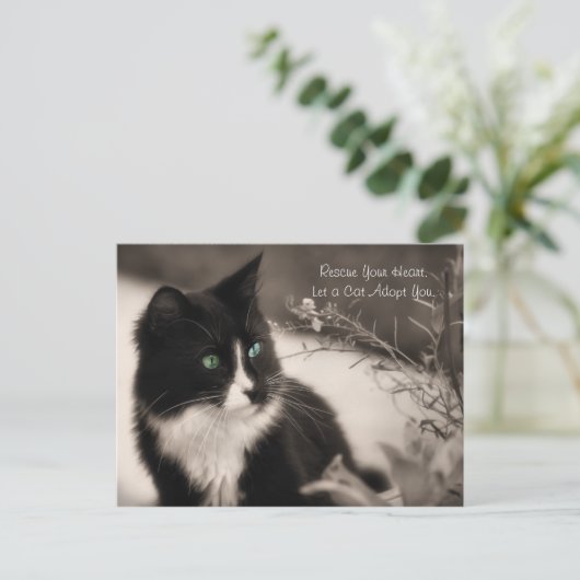 Adoption rettet Ihr Herz und Adoptiere eine Katze Postkarte (Stehend Vorderseite)