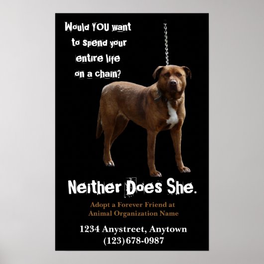 Adoption und Rettung von Tierrechten Poster (Vorne)