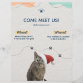 Adoption von Heimtieren, Flyer für Tierschutzhilfe (Vorne)