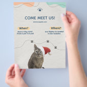 Adoption von Heimtieren, Flyer für Tierschutzhilfe (Hand)