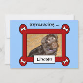 Adoption von Hunden oder Geburtsankündigungen (Rot Ankündigung (Vorderseite)