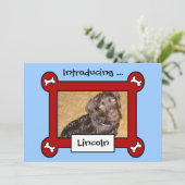 Adoption von Hunden oder Geburtsankündigungen (Rot Ankündigung (Stehend Vorderseite)