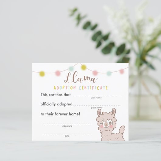 Adoption von Llama Birthday Party (Stehend Vorderseite)