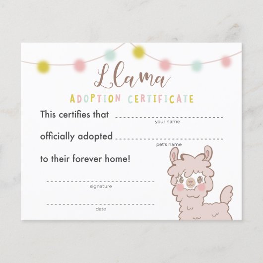Adoption von Llama Birthday Party (Vorderseite)