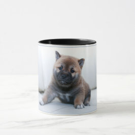 Adorable Akita Welpenhund, Kaffeetasse