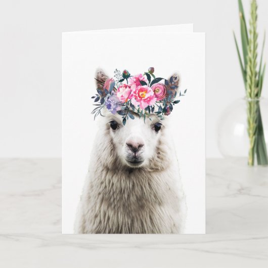 Adorable Alpaca, Geburtstag Karte (Vorderseite)