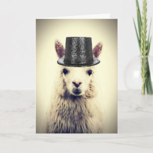 Adorable Alpaca, Geburtstag Karte
