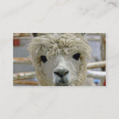 Adorable Alpaca Visitenkarte (Rückseite)