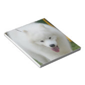 Adorable American Eskimo Dog Notizblock (angewinkelt)