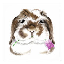 Adorable American Fuzzy Lop Rabbit mit rosa Tulip