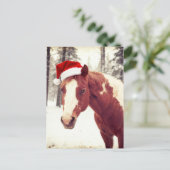 Adorable and Cute Christmas Paint Horse Postkarte (Stehend Vorderseite)