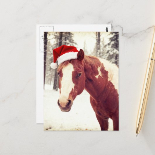 Adorable and Cute Christmas Paint Horse Postkarte (Vorderseite/Rückseite Beispiel)