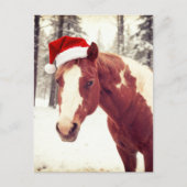 Adorable and Cute Christmas Paint Horse Postkarte (Vorderseite)