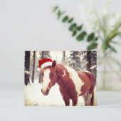 Adorable and Cute Christmas Paint Horse Postkarte (Stehend Vorderseite)