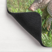 Adorable Baby Armadillo Mousepad (Ecke)