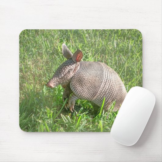 Adorable Baby Armadillo Mousepad (Mit Mouse)