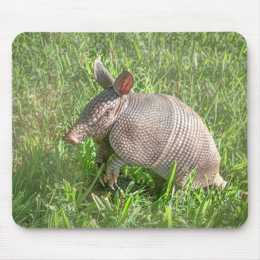 Adorable Baby Armadillo Mousepad (Vorne)