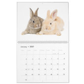 Adorable Baby Bunnies Kalender (Jan 2027)