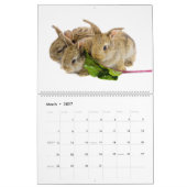 Adorable Baby Bunnies Kalender (Mär 2027)