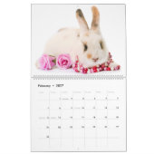 Adorable Baby Bunnies Kalender (Feb 2027)