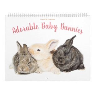 Adorable Baby Bunnies Kalender