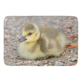 Adorable Baby Canada Goose on Gravel Badematte